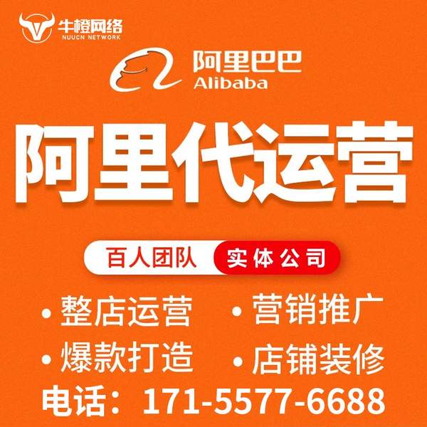 乐山电商代运营