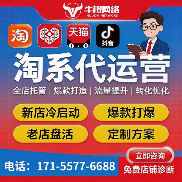 乐山电商代运营