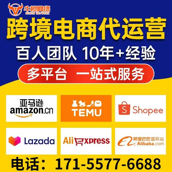 乐山电商代运营