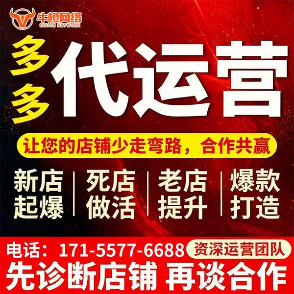 乐山电商代运营