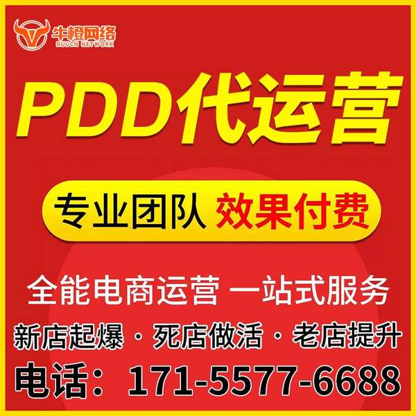 乐山电商代运营