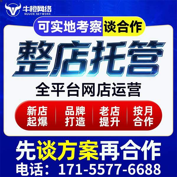 乐山电商代运营