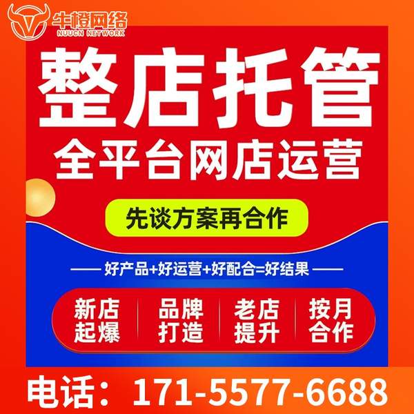 乐山电商代运营