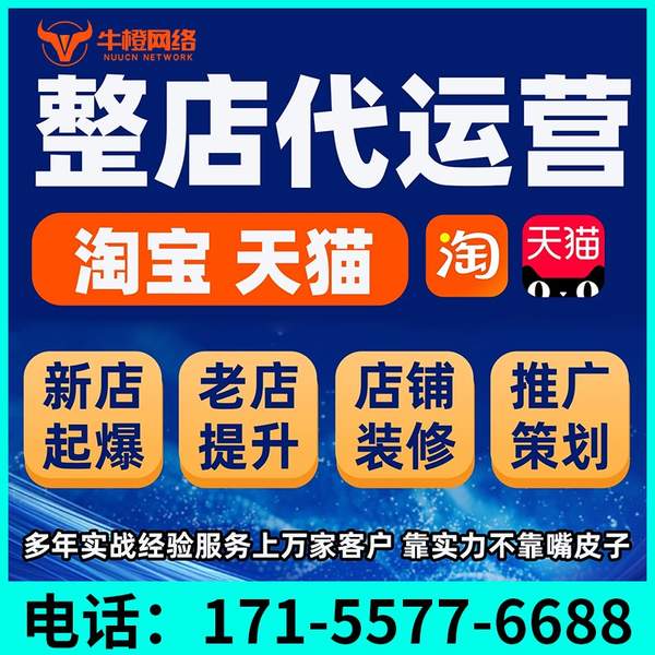 乐山电商代运营