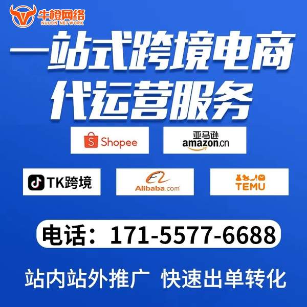 乐山电商代运营
