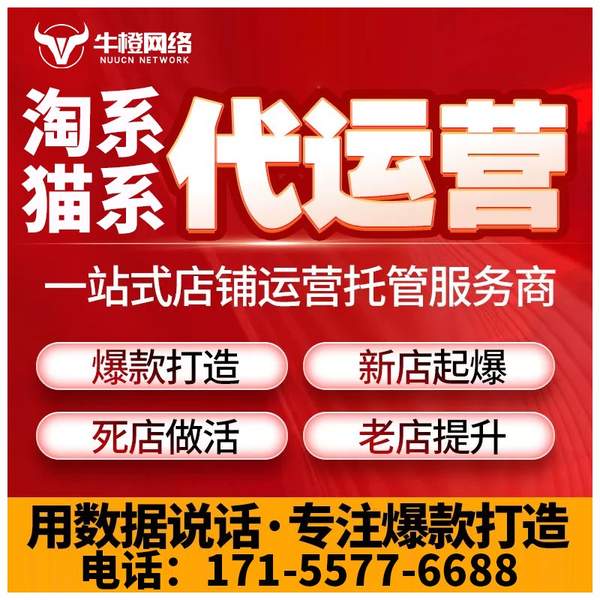 乐山电商代运营